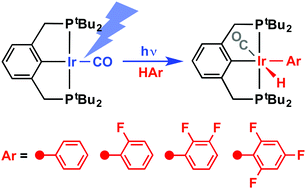 Graphical abstract: UV-light promoted C–H bond activation of benzene and fluorobenzenes by an iridium(i) pincer complex