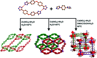 Graphical abstract: Metallomacrocycle-supported interpenetration networks assembled from binary N-containing ligands