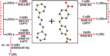 Graphical abstract: Structural variation of transition metal coordination polymers based on bent carboxylate and flexible spacer ligand: polymorphism, gas adsorption and SC-SC transmetallation