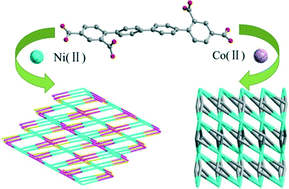 Graphical abstract: Two novel nickel(ii) and cobalt(ii) metal–organic frameworks based on a rigid aromatic multicarboxylate ligand: syntheses, structural characterization and magnetic properties