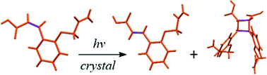 Graphical abstract: Solid-state photochemistry of cis-cinnamic acids: a competition between [2 + 2] addition and cis–trans isomerization