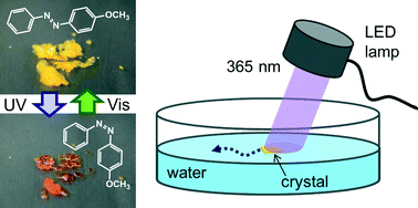 Graphical abstract: Azobenzene crystals swim on water surface triggered by light