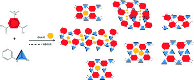 Graphical abstract: Crystal engineering urea organic acid hydrogen bonded networks with solvent inclusion properties