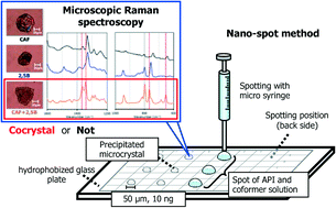 Graphical abstract: Microanalysis of pharmaceutical cocrystals using a nano-spot method coupled with Raman spectroscopy
