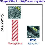 Graphical abstract: Shape effects of nickel phosphide nanocrystals on hydrogen evolution reaction