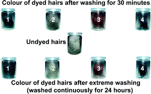 Graphical abstract: Supramolecular hair dyes: a new application of cocrystallization