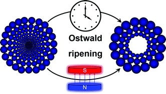 Graphical abstract: Magneto-acceleration of Ostwald ripening in hollow Fe3O4 nanospheres