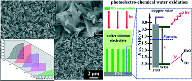 Graphical abstract: Tailored preparation of WO3 nano-grassblades on FTO substrate for photoelectrochemical water splitting