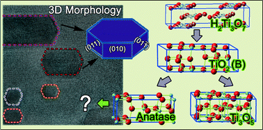 Graphical abstract: In situ observation and investigation on the formation mechanism of nanocavities in TiO2 nanofibers