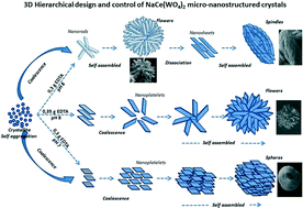 Graphical abstract: Hierarchical design and control of NaCe(WO4)2 crystals: structural and optical properties