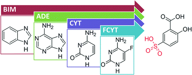 Graphical abstract: Testing the limits of synthon engineering: salts of salicylic and sulfosalicylic acid with nucleobases and derivatives