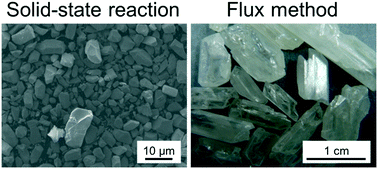 Graphical abstract: Facile growth of centimeter-order, highly crystalline ZnWO4 single crystals by the flux evaporation technique using molten NaCl