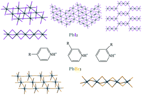 Graphical abstract: Structural diversity in substituted-pyridinium iodo- and bromoplumbates: a matter of halide and temperature