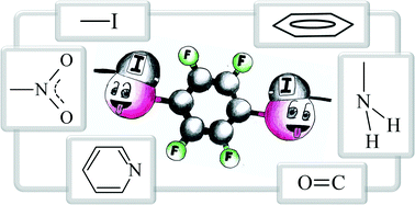 Graphical abstract: Uncommon halogen bond motifs in cocrystals of aromatic amines and 1,4-diiodotetrafluorobenzene