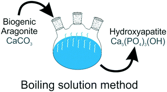 Graphical abstract: Conversion of biogenic aragonite into hydroxyapatite scaffolds in boiling solutions