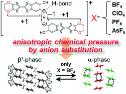 Graphical abstract: Anion substitution in hydrogen-bonded organic conductors: the chemical pressure effect on hydrogen-bond-mediated phase transition