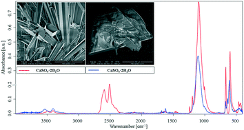 Graphical abstract: Observing non-classical crystallisation processes in gypsum via infrared attenuated total reflectance spectroscopy