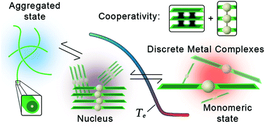 Graphical abstract: Cooperative self-assembly of discrete metal complexes