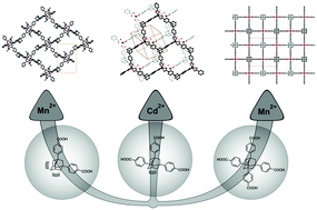 Graphical abstract: A view on systematic truncation of tetrahedral ligands for coordination polymers