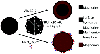 Graphical abstract: Oxidation of magnetite nanoparticles: impact on surface and crystal properties