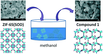 Graphical abstract: Porous zinc and cobalt 2-nitroimidazolate frameworks with six-membered ring windows and a layered cobalt 2-nitroimidazolate polymorph