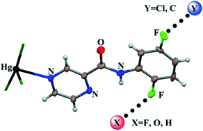 Graphical abstract: Are fluorine-based contacts predictable? A case study in three similar coordination compounds