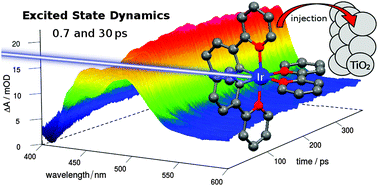 Graphical abstract: Ultrafast excited state dynamics of iridium(iii) complexes and their changes upon immobilisation onto titanium dioxide layers