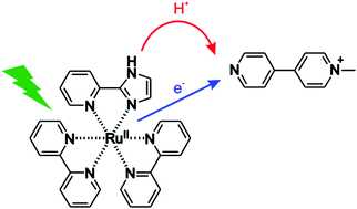 Graphical abstract: Proton coupled electron transfer from the excited state of a ruthenium(ii) pyridylimidazole complex
