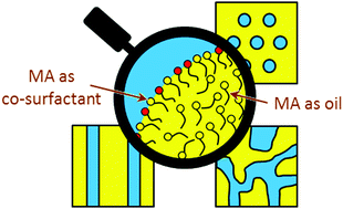 Graphical abstract: Molten fatty acid based microemulsions