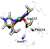 Graphical abstract: Asn47 and Phe114 modulate the inner sphere reorganization energies of type zero copper proteins