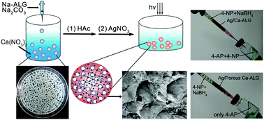 Graphical abstract: In situ pore-forming alginate hydrogel beads loaded with in situ formed nano-silver and their catalytic activity