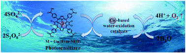 Graphical abstract: Halogenated earth abundant metalloporphyrins as photostable sensitizers for visible-light-driven water oxidation in a neutral phosphate buffer solution