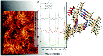 Graphical abstract: Structural analysis of bioinspired nano materials with synchrotron far IR spectroscopy