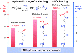 Graphical abstract: Observation of the wrapping mechanism in amine carbon dioxide molecular interactions on heterogeneous sorbents