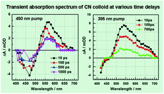 Graphical abstract: Charge carrier kinetics of carbon nitride colloid: a femtosecond transient absorption spectroscopy study