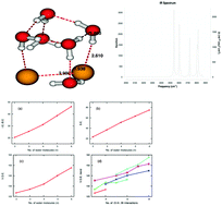 Graphical abstract: An investigation on the structure, spectroscopy and thermodynamic aspects of Br2(−)(H2O)n clusters using a conjunction of stochastic and quantum chemical methods