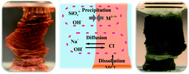 Graphical abstract: Diffusion and precipitation processes in iron-based silica gardens