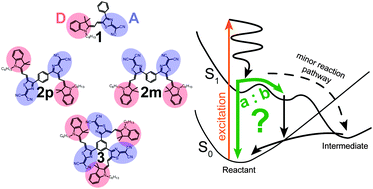 Graphical abstract: The role of the dipolar neighborhood on the relaxation dynamics of multichromophoric merocyanines