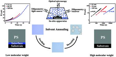 Graphical abstract: Influence of film structure on the dewetting kinetics of thin polymer films in the solvent annealing process