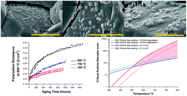 Graphical abstract: Degradation of nano-scale cathodes: a new paradigm for selecting low-temperature solid oxide cell materials