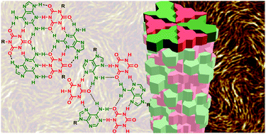 Graphical abstract: Formation of supramolecular assemblies and liquid crystals by purine nucleobases and cyanuric acid in water: implications for the possible origins of RNA