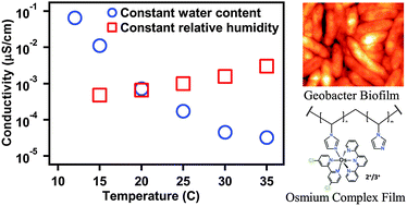 Graphical abstract: Biofilm as a redox conductor: a systematic study of the moisture and temperature dependence of its electrical properties