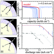 Graphical abstract: Capacity-limiting mechanisms in Li/O2 batteries