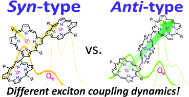 Graphical abstract: Exciton coupling dynamics in syn- and anti-type β–β linked Zn(ii) porphyrin linear arrays