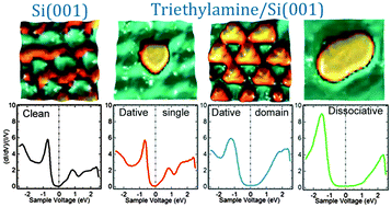 Graphical abstract: Room temperature differential conductance measurements of triethylamine molecules adsorbed on Si(001)