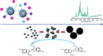 Graphical abstract: Catalytic effects of silver plasmonic nanoparticles on the redox reaction leading to ABTS˙+ formation studied using UV-visible and Raman spectroscopy