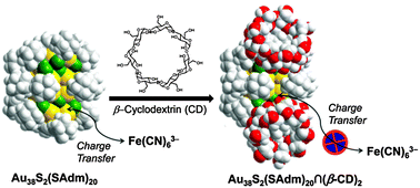 Graphical abstract: Surface modification of adamantane-terminated gold nanoclusters using cyclodextrins
