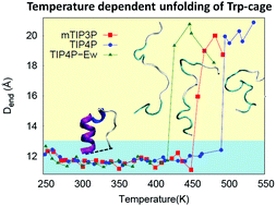 Graphical abstract: Comparison of hydration behavior and conformational preferences of the Trp-cage mini-protein in different rigid-body water models