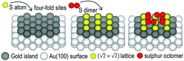 Graphical abstract: Density functional theory simulation of the adsorption of sulphur multilayers on Au(100)
