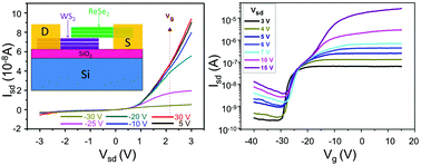 Graphical abstract: Gate-tunable diode-like current rectification and ambipolar transport in multilayer van der Waals ReSe2/WS2 p–n heterojunctions